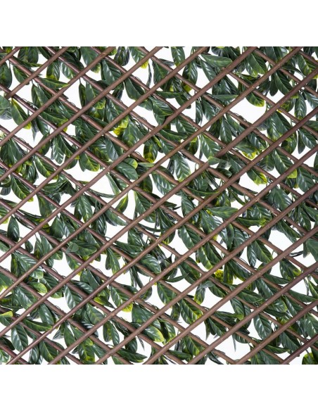 Treillis Natural Lierre osier Bambou 2 x 200 x 100 cm