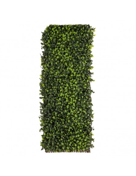 Treillis Natural Lierre osier Bambou 2 x 200 x 100 cm