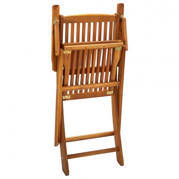 Chaises pliables d'extérieur 2 pcs Bois d'acacia solide