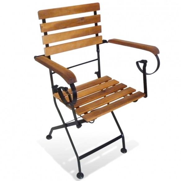 Chaises pliables de jardin 2 pcs Acier et bois d'acacia solide