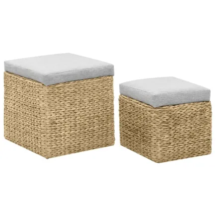 Repose-pied 2 pcs Jacinthe d'eau Gris 2