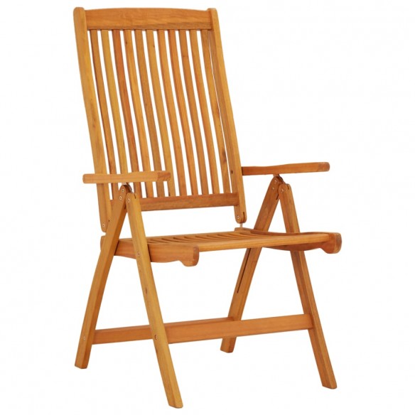 Chaises de jardin pliables 2 pcs Bois d'eucalyptus massif