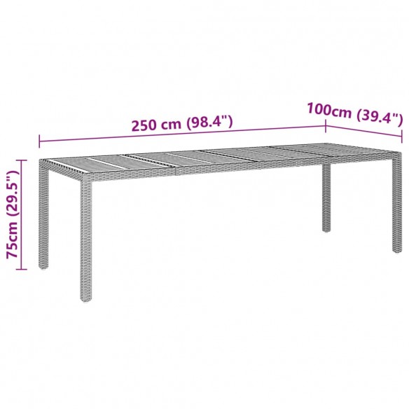 Table de jardin gris 250x100x75 cm résine tressée/bois d'acacia