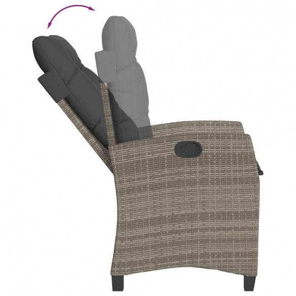 Chaises inclinables de jardin lot de 2 et coussins gris rotin