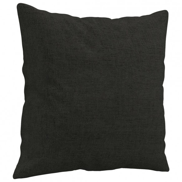 Canapé 2 places avec oreillers décoratifs noir 120 cm tissu