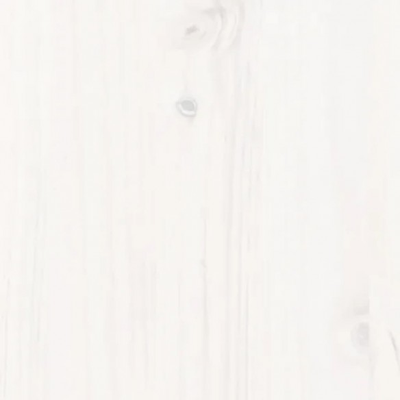 Lit de jour Blanc 80x200 cm Bois de pin massif