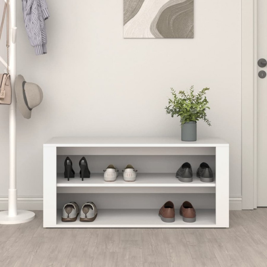 Étagère à chaussures Blanc 100x35x45 cm 