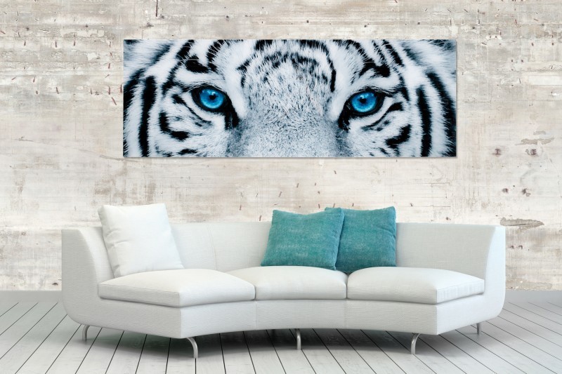 Tableau décoratif mural 140x50 cm "tigre aux yeux bleus"