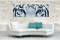 Tableau décoratif mural 140x50 cm "tigre aux yeux bleus"