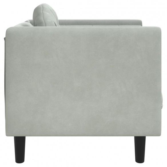 Fauteuil avec coussin gris clair Velours