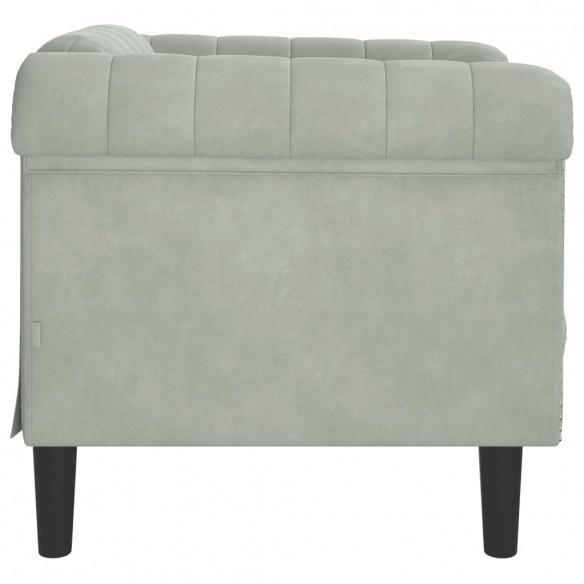 Fauteuil gris clair Velours