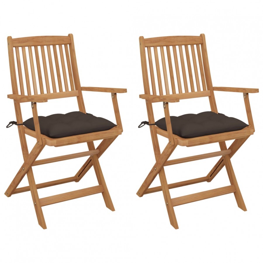 Chaises pliables de jardin 2 pcs avec...