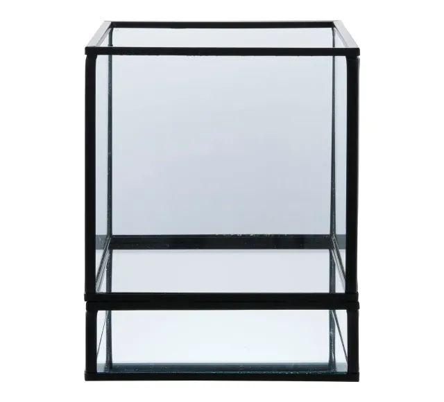 Ambiance complète – Chêne naturel & contrastes modernes/ Elsines