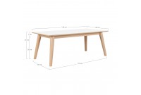 Table basse rectangulaire design scandinave coloris blanc