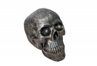 Sculpture design Crâne humain en polyrésine bronzé