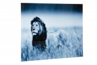 Tableau 60x80 cm design Lion bleu en verre