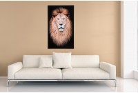 Tableau 100x60 cm design tête de Lion MUFASA