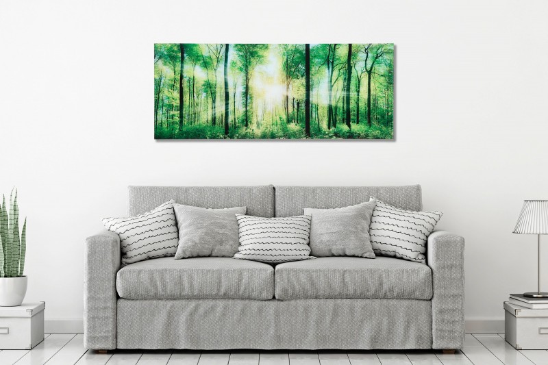 Tableau décoratif 60x80cm "Rayons du soleil entre arbres"