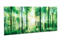 Tableau décoratif 60x80cm "Rayons du soleil entre arbres"