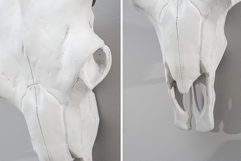 Trophée mural design crâne de taureau coloris blanc et noir de 70 cm