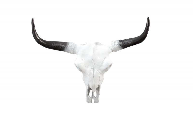 Trophée mural design crâne de taureau coloris blanc et noir de 70 cm